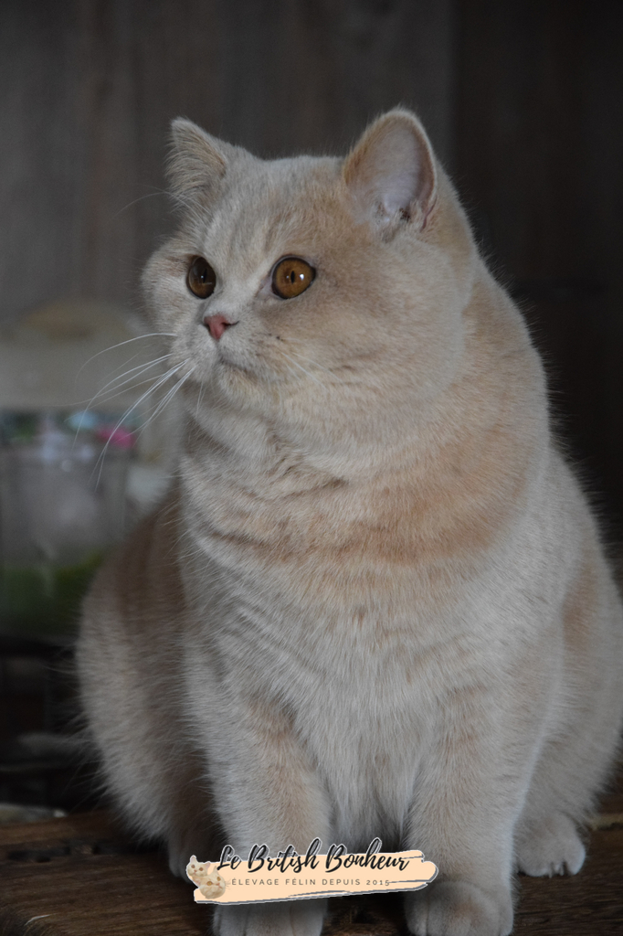 9 mois