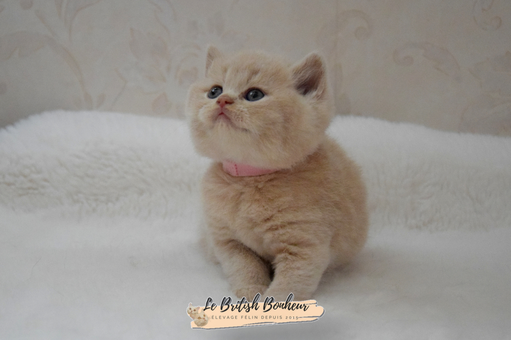 1 mois