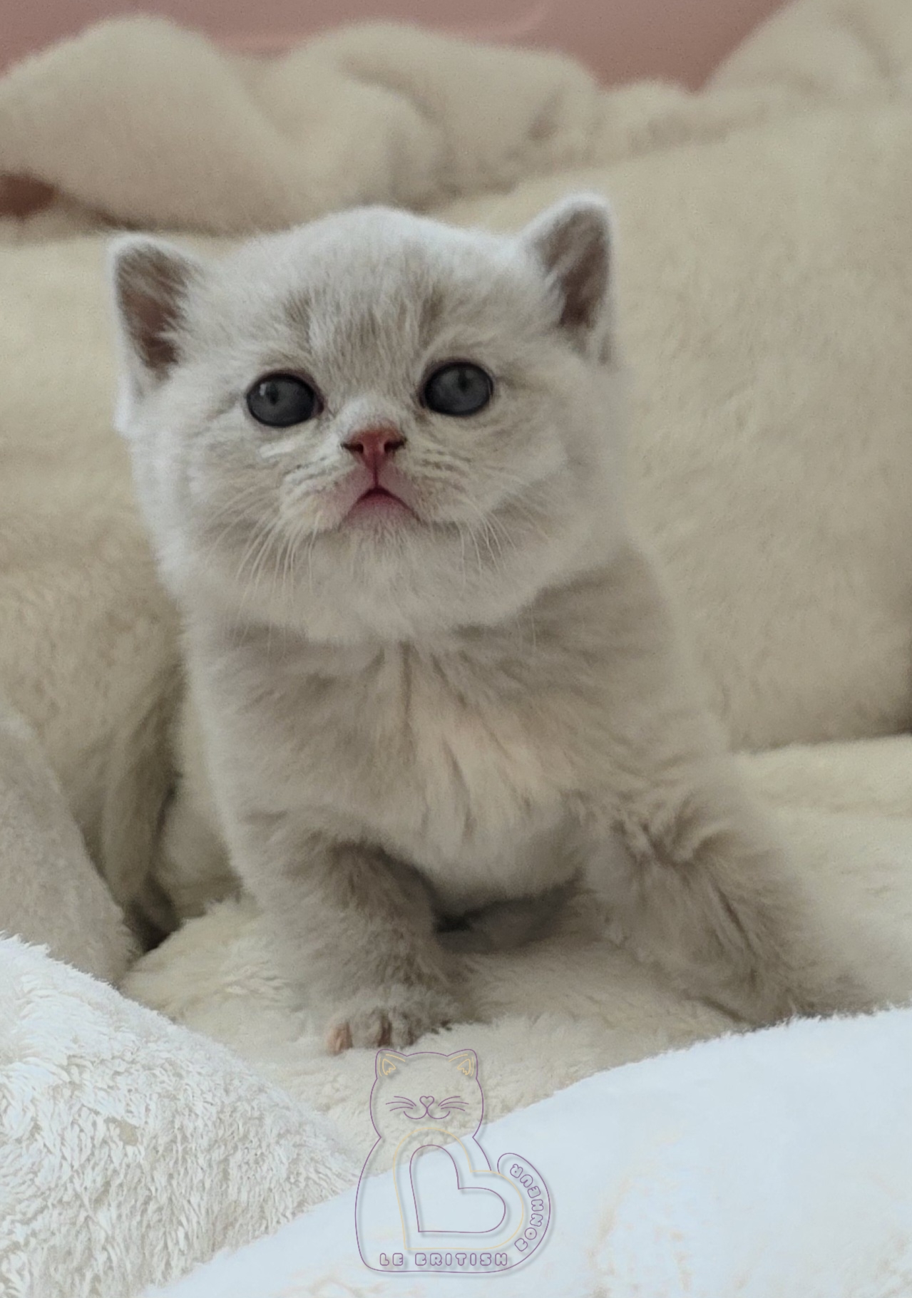 1 mois