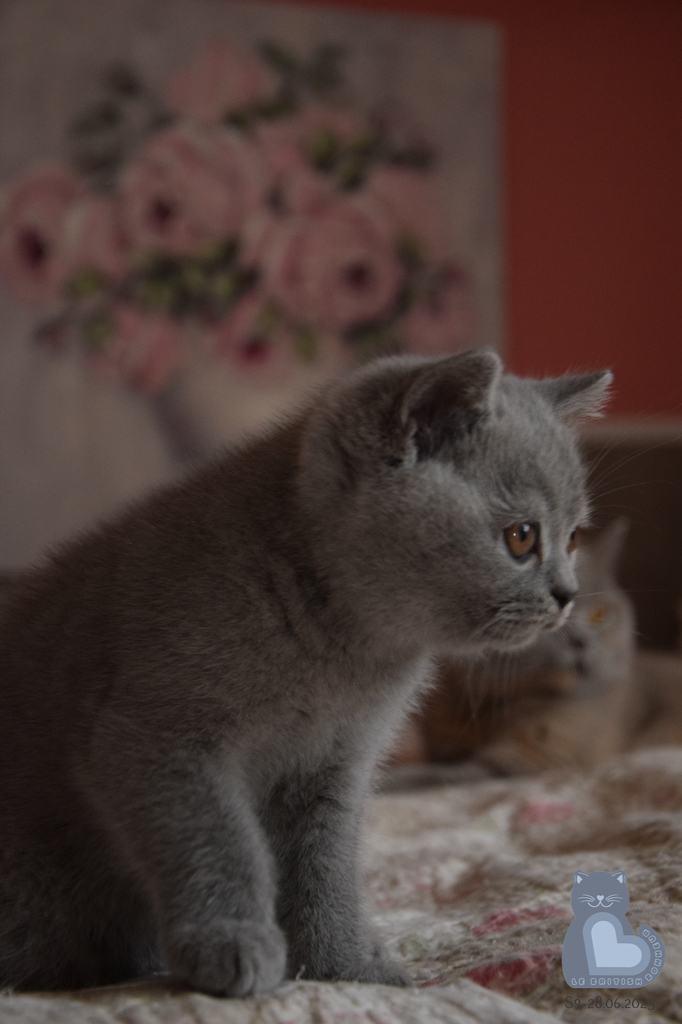 2 mois