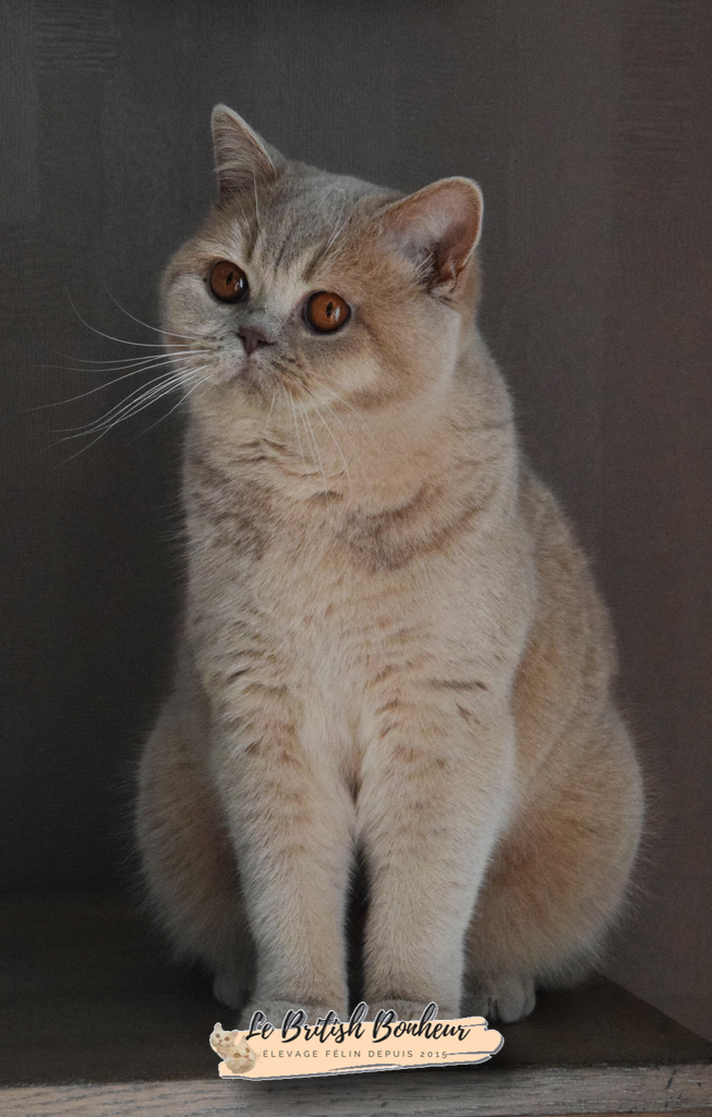 10 mois