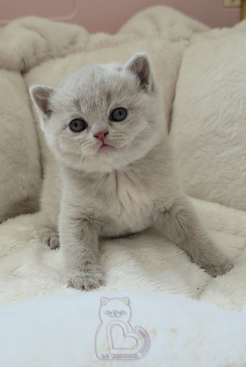 1 mois