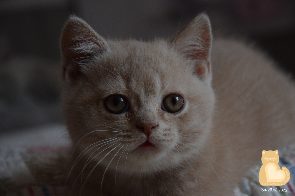 2 mois