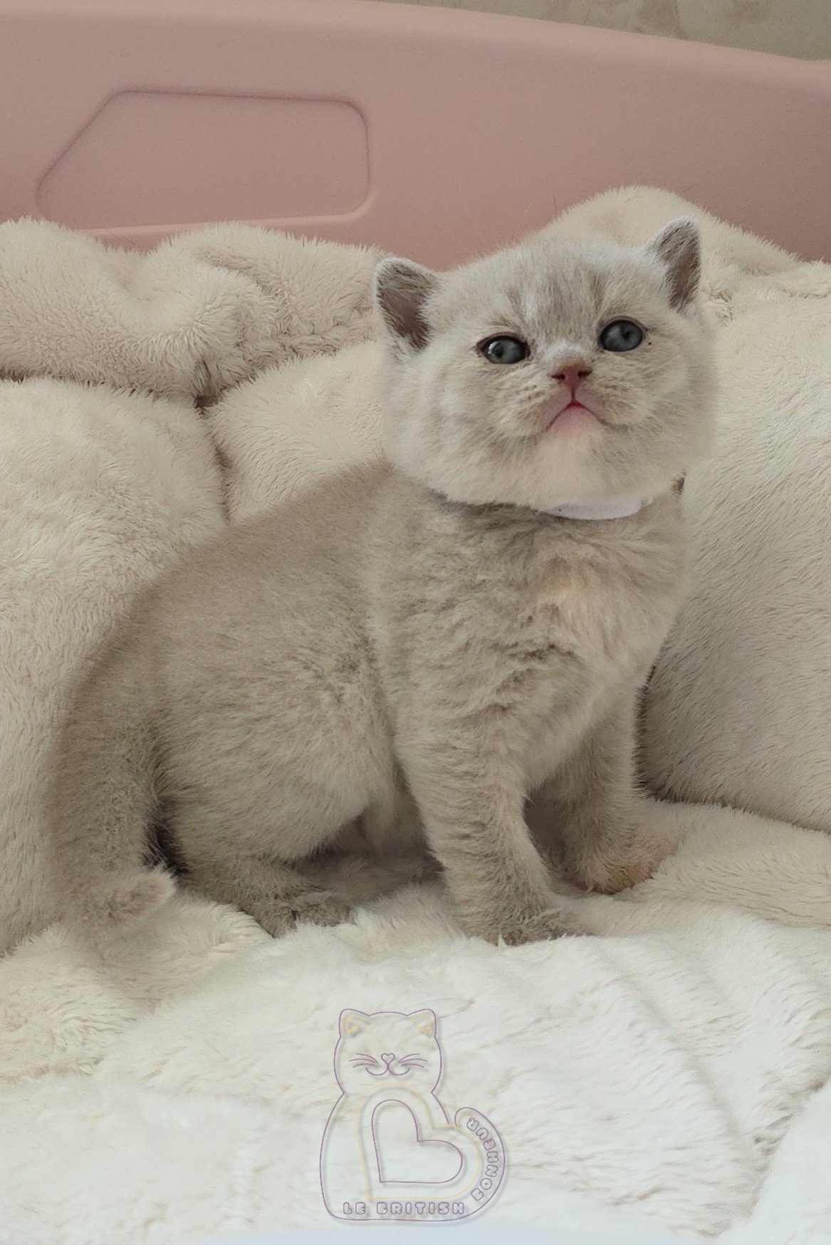 1 mois