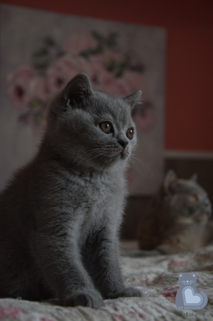 2 mois