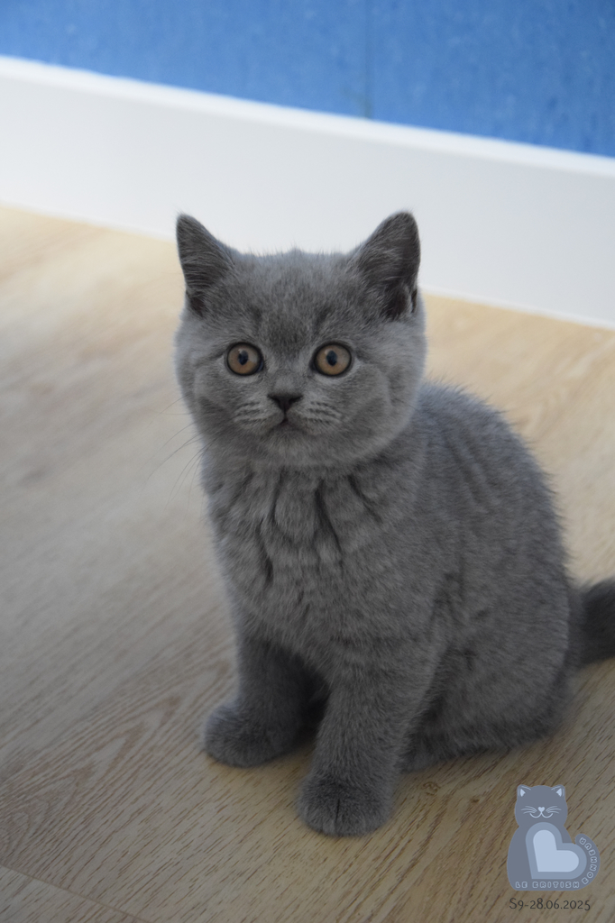 2 mois