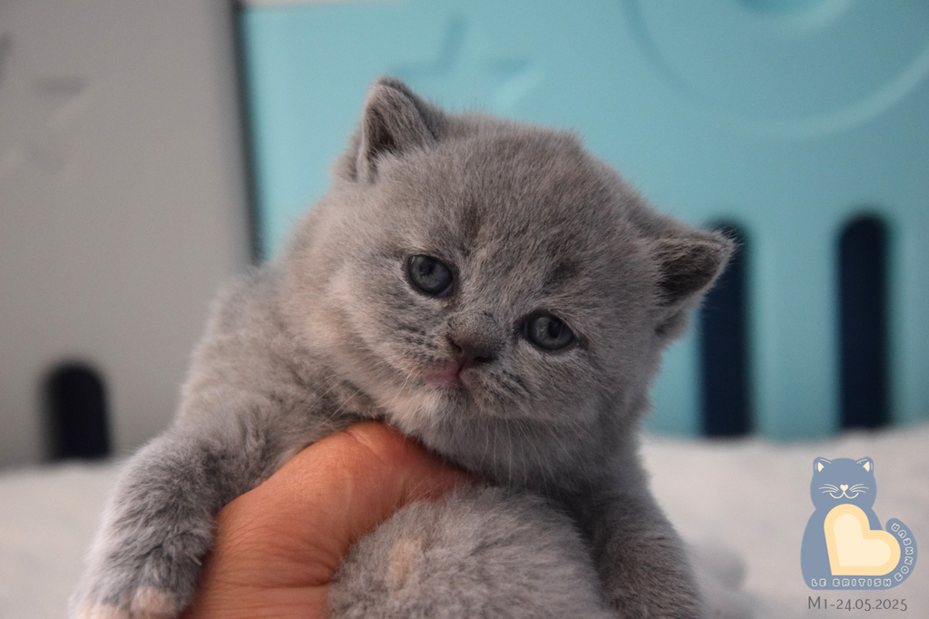 1 mois