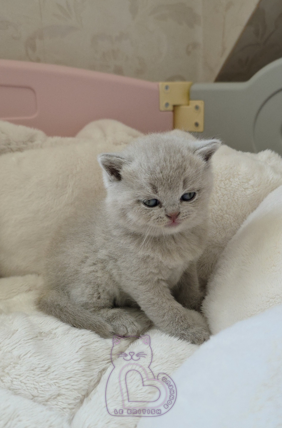 1 mois