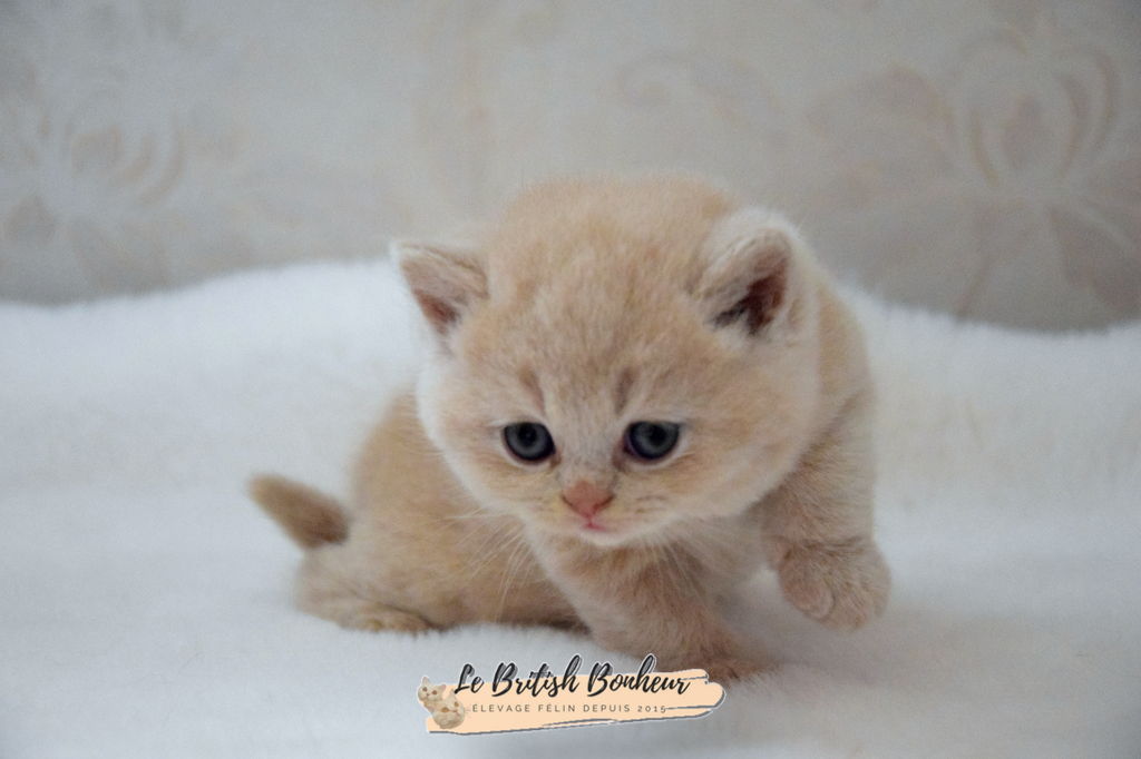 1 mois
