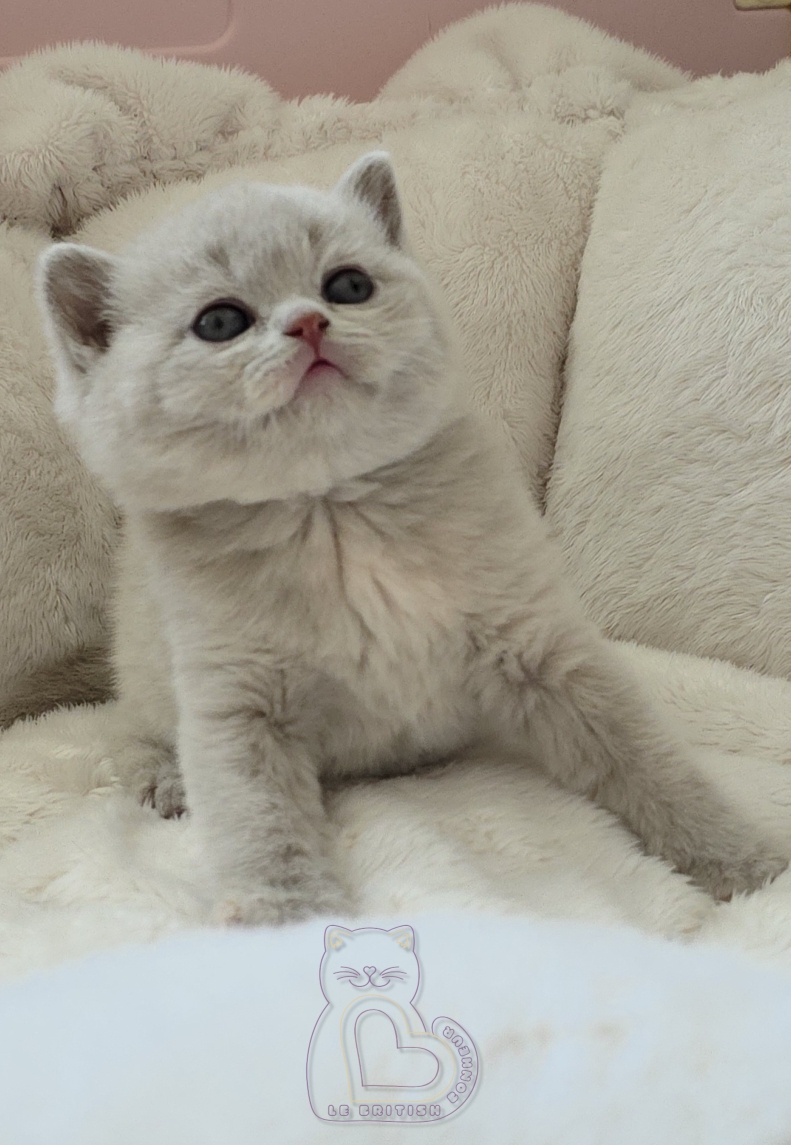 1 mois