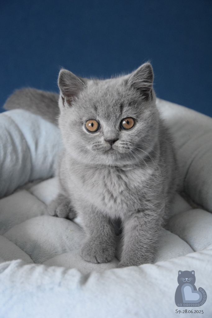 2 mois