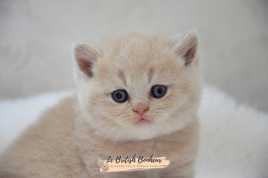 1 mois