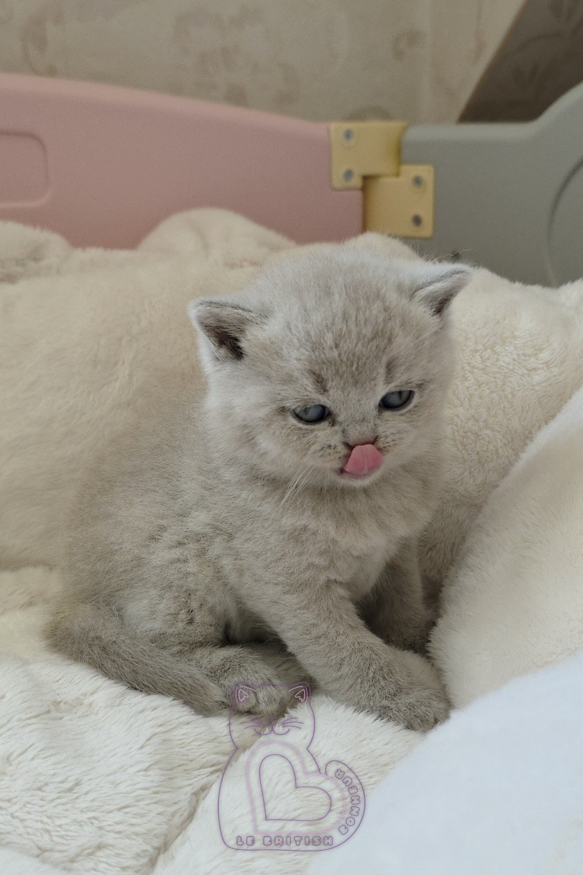 1 mois