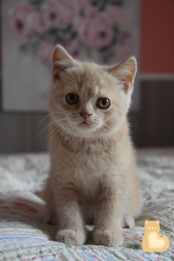 2 mois