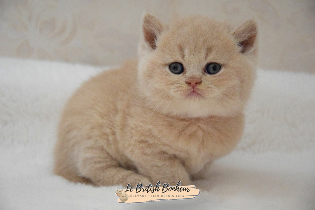 1 mois