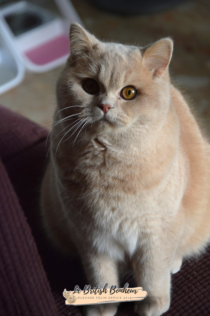 9 mois