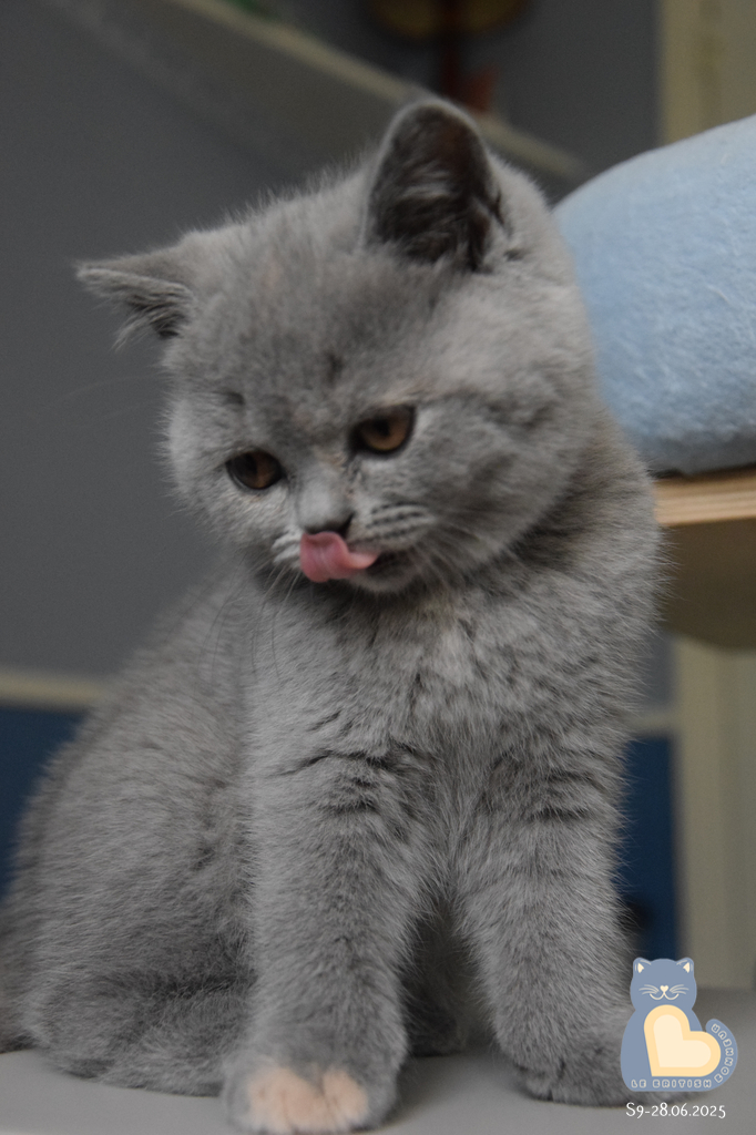 2 mois