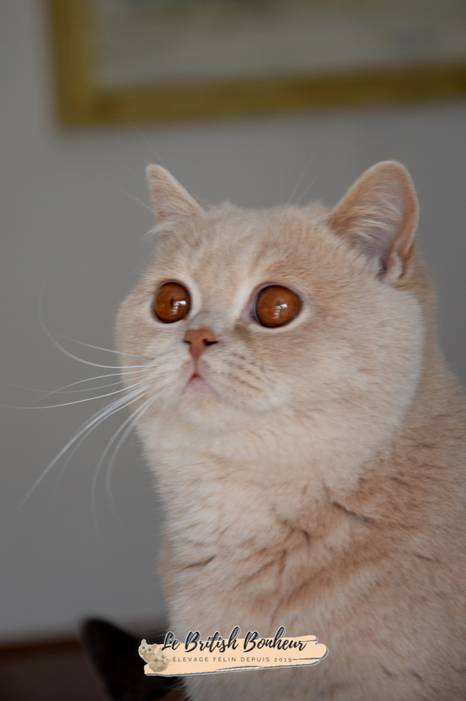 8 mois