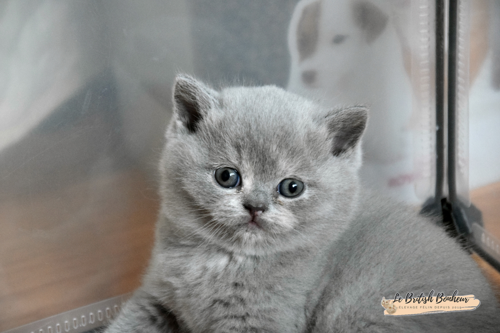 1 mois