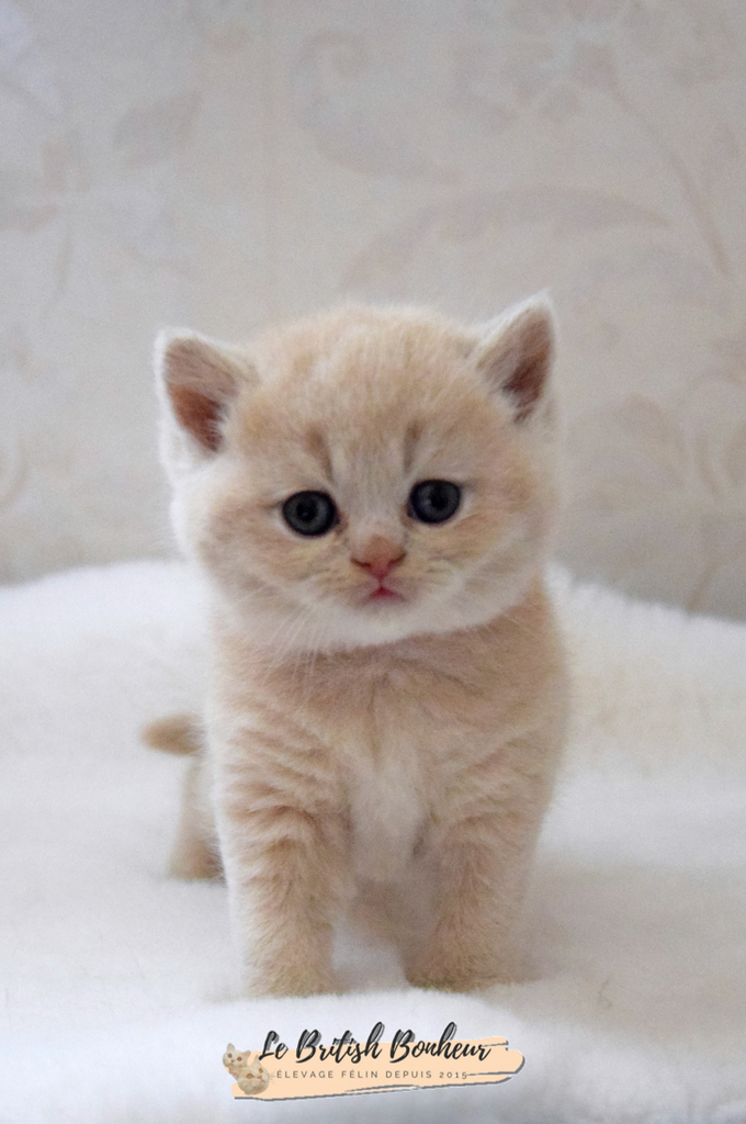 1 mois
