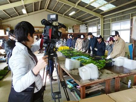 宇部西高校 制服 山口県立宇部西高等学校まとめ
