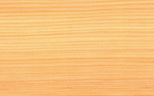 Larch [LAR]