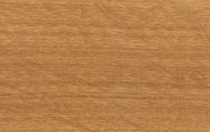 Oak [EIC]