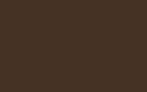 Sepia brown RAL 8014 [AF-8014M]