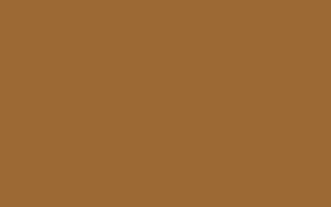 Ochre RAL 8001 [AF-8001M]