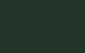 Fern green RAL 6009 [AF-6009M]