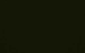 RAL 6007 [OF-5-53]