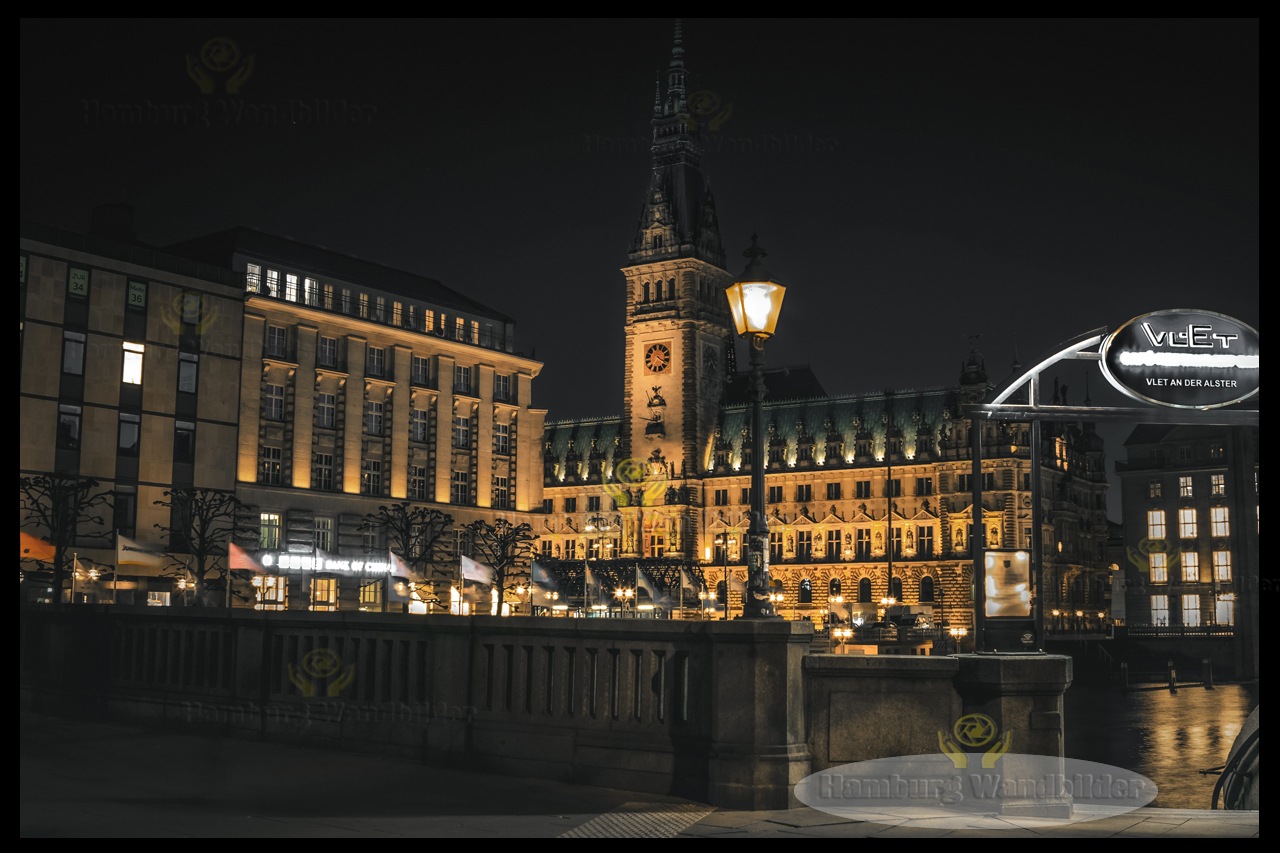 Hamburger Rathaus  BC  /  1889