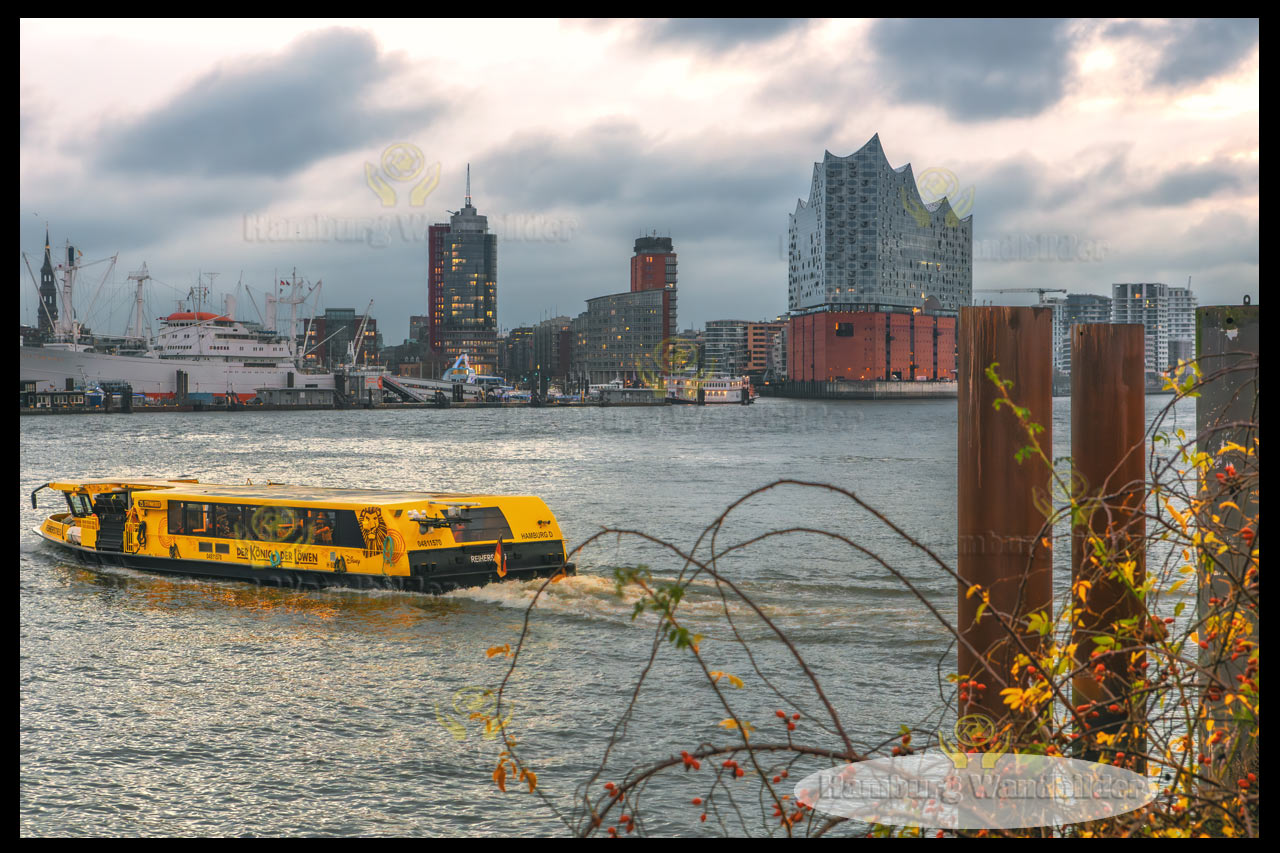 Elbphilharmonie  /  2784