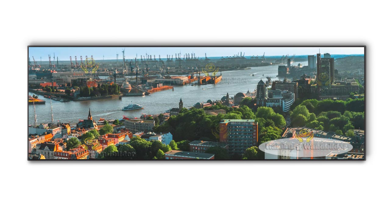 Panorama  /  2210  /  3:1