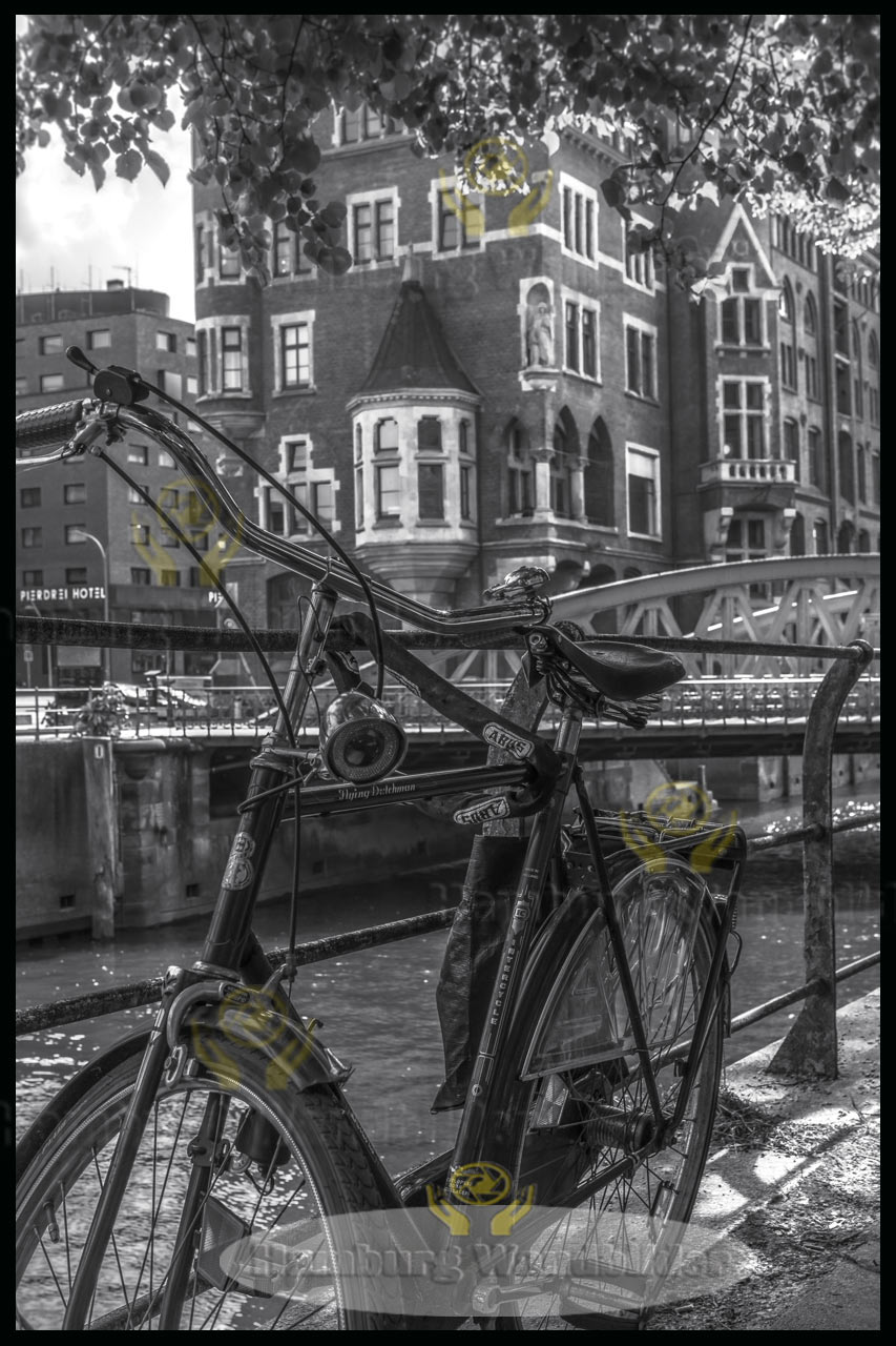 Fahrrad  SW  /   2542