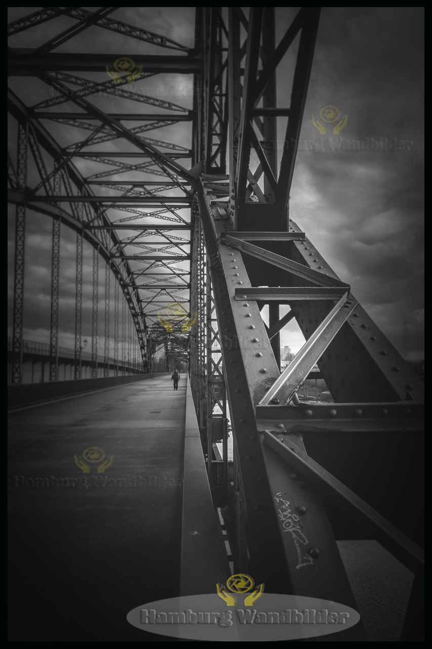 Alte Elbbrücke  HF  /   2229