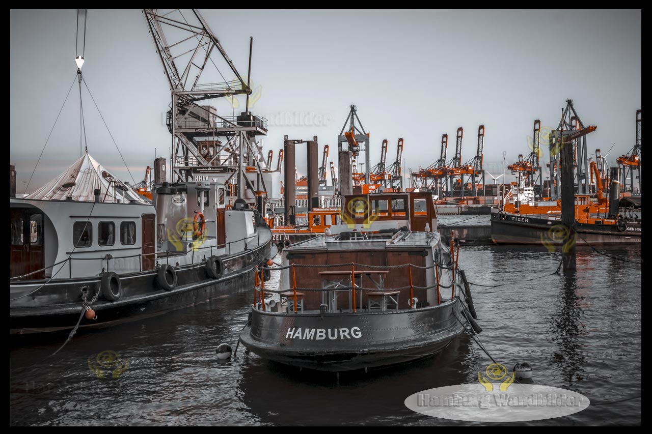 Museumshafen  BC  /  2039