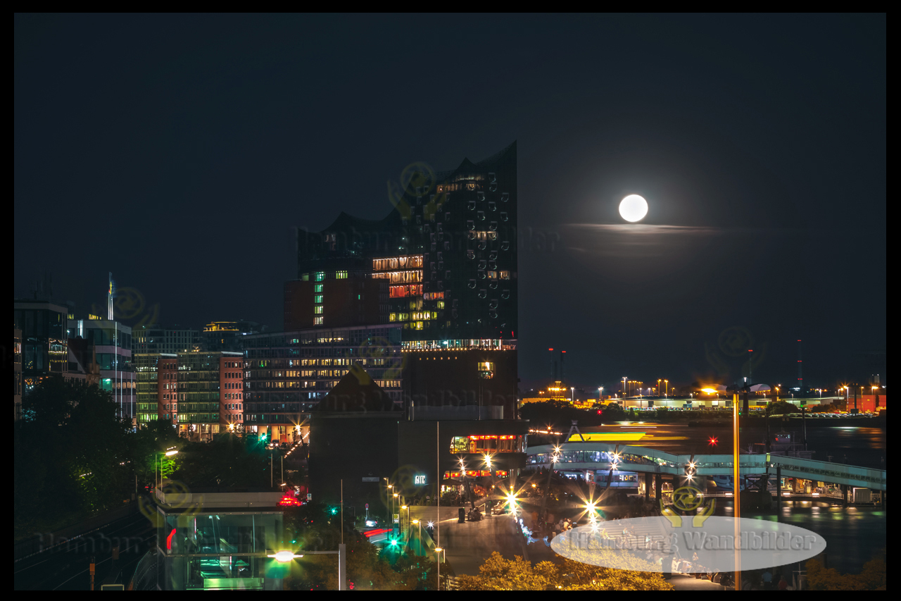 Elbphilharmonie  /  2267  