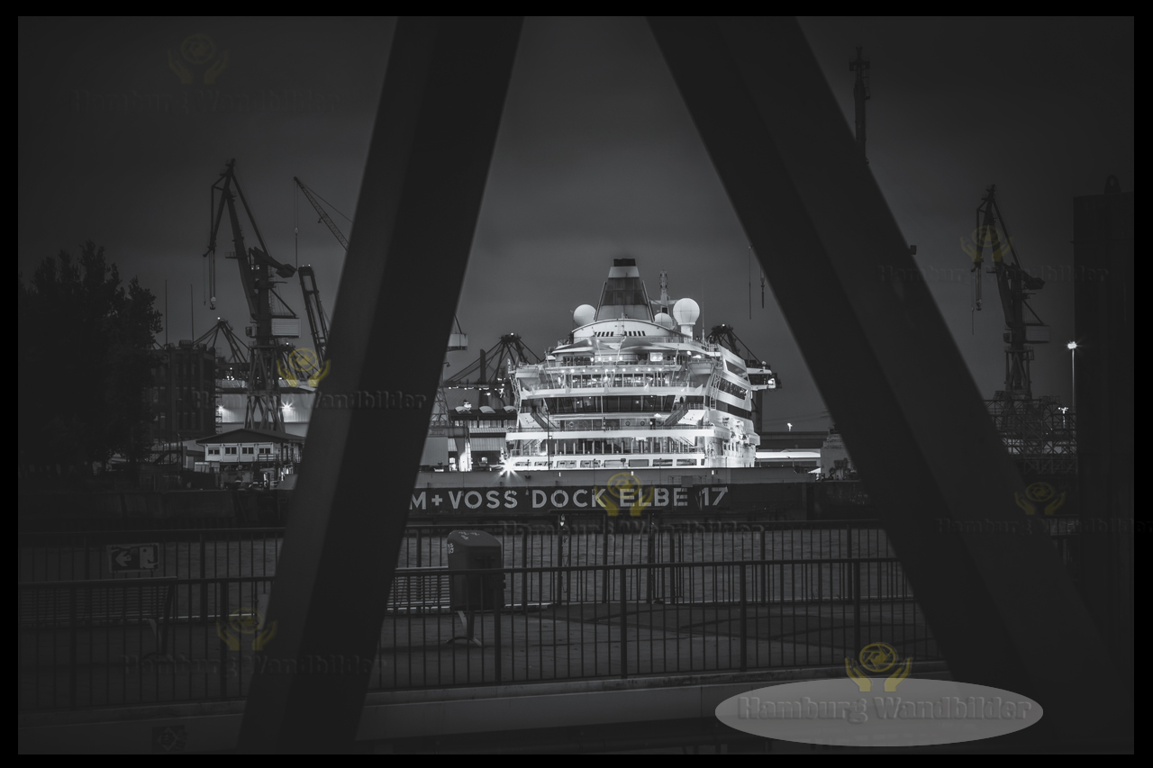 Blohm & Voss  SW  /  2017