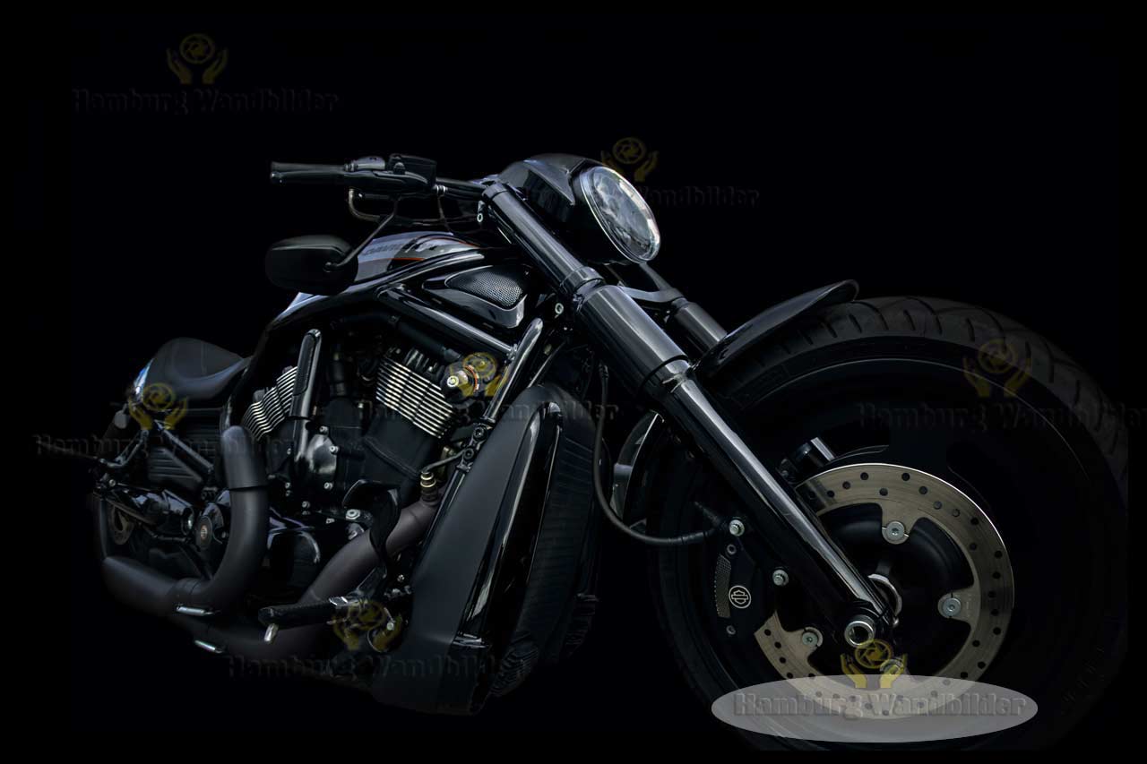 Harley Davidson  /  2444 