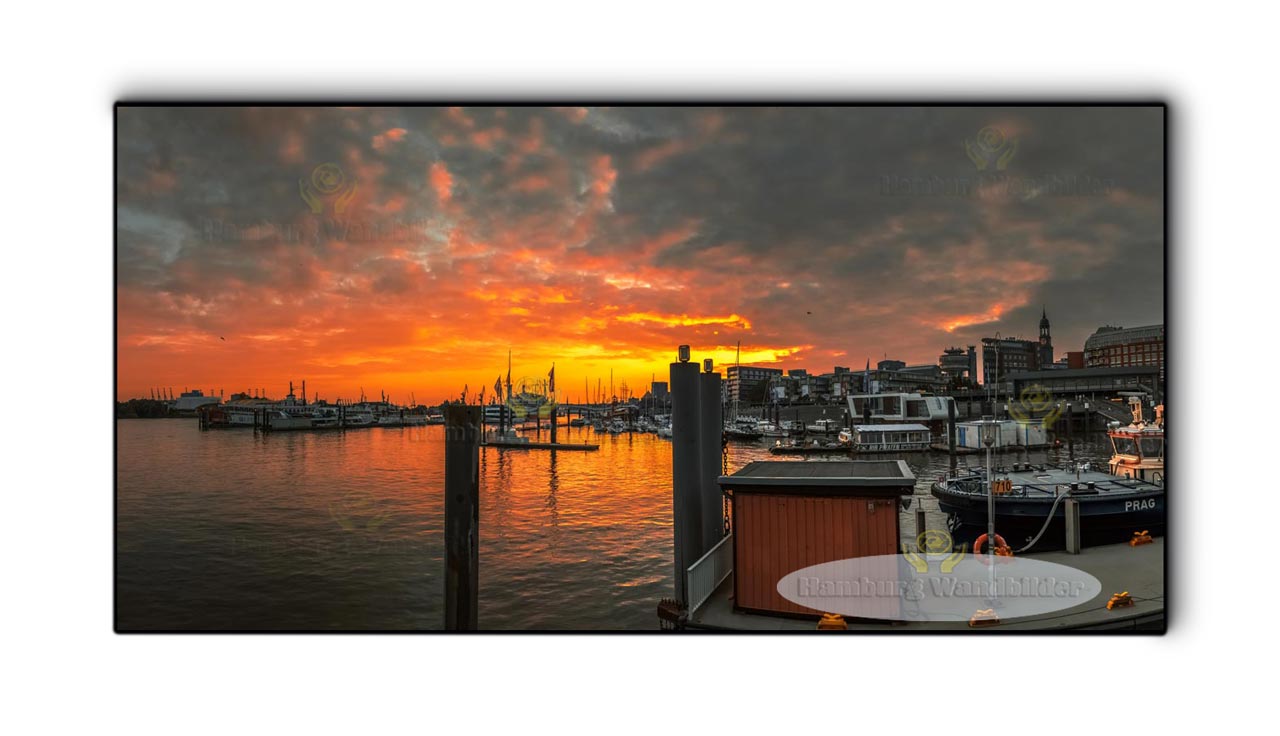 Baumwall  /  2741  /  2:1