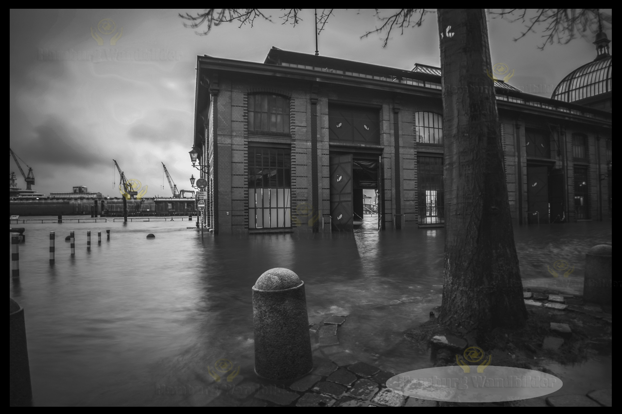 Fischauktionshalle SW /  2305