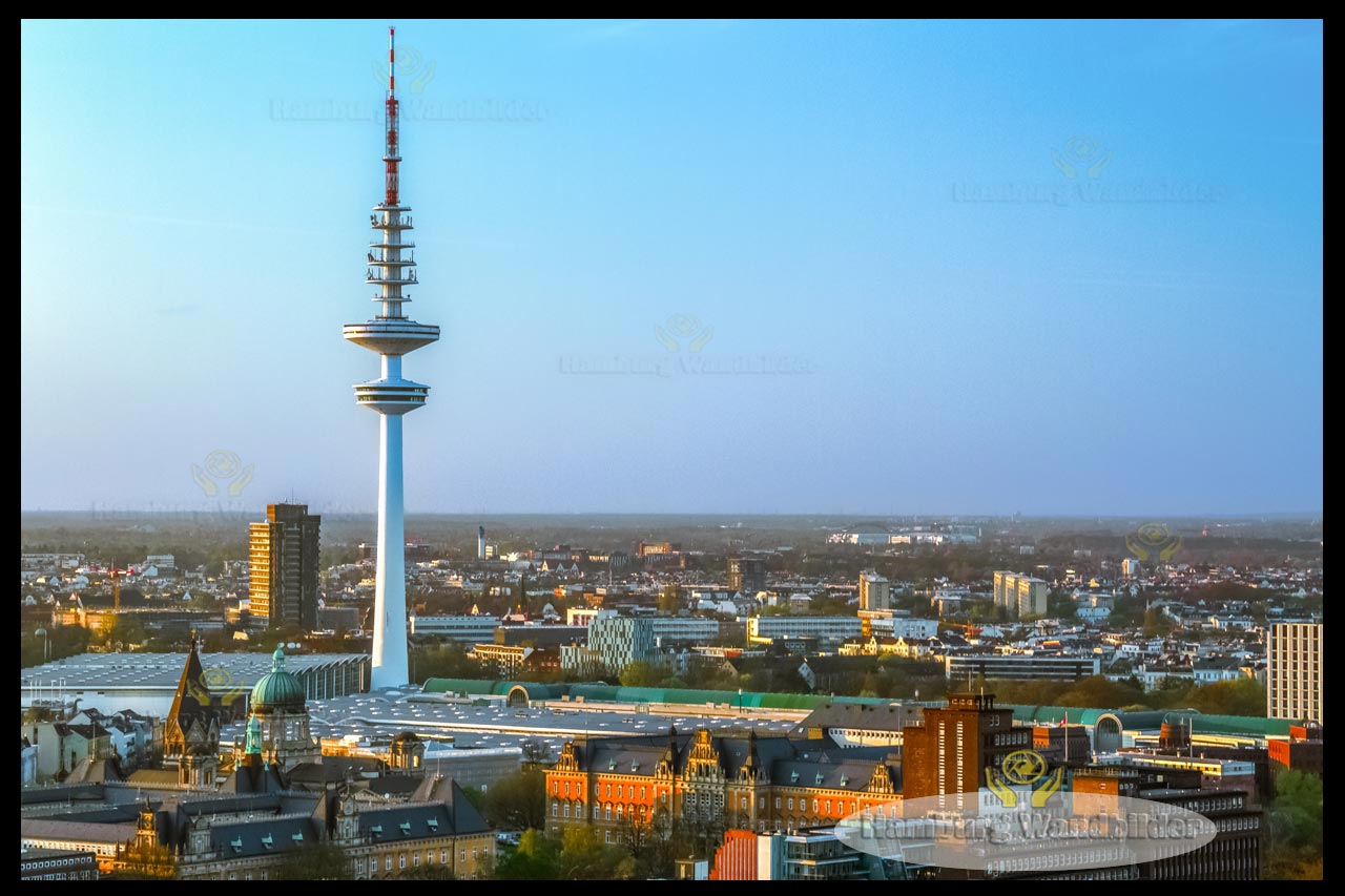 Fernsehturm  /  2503