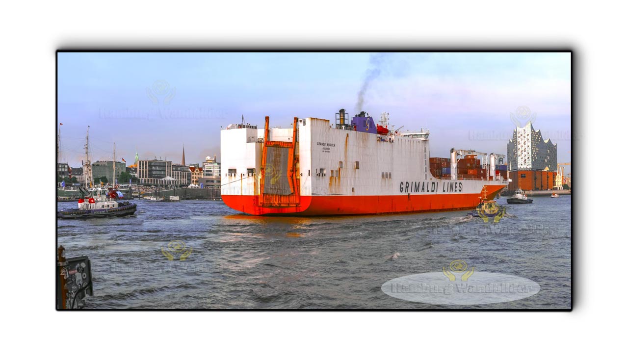 Grimaldi Line  /  2216  /   2:1