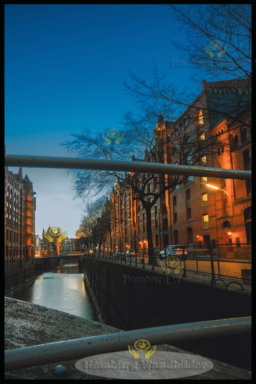 Holländischer Brook HF  /  2586