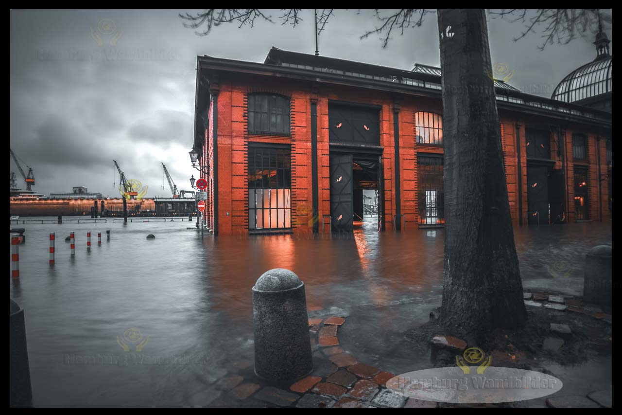 Fischauktionshalle  BC  /  2326