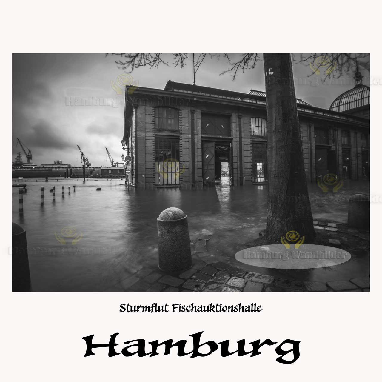 Fischauktionshalle GG  /  1902