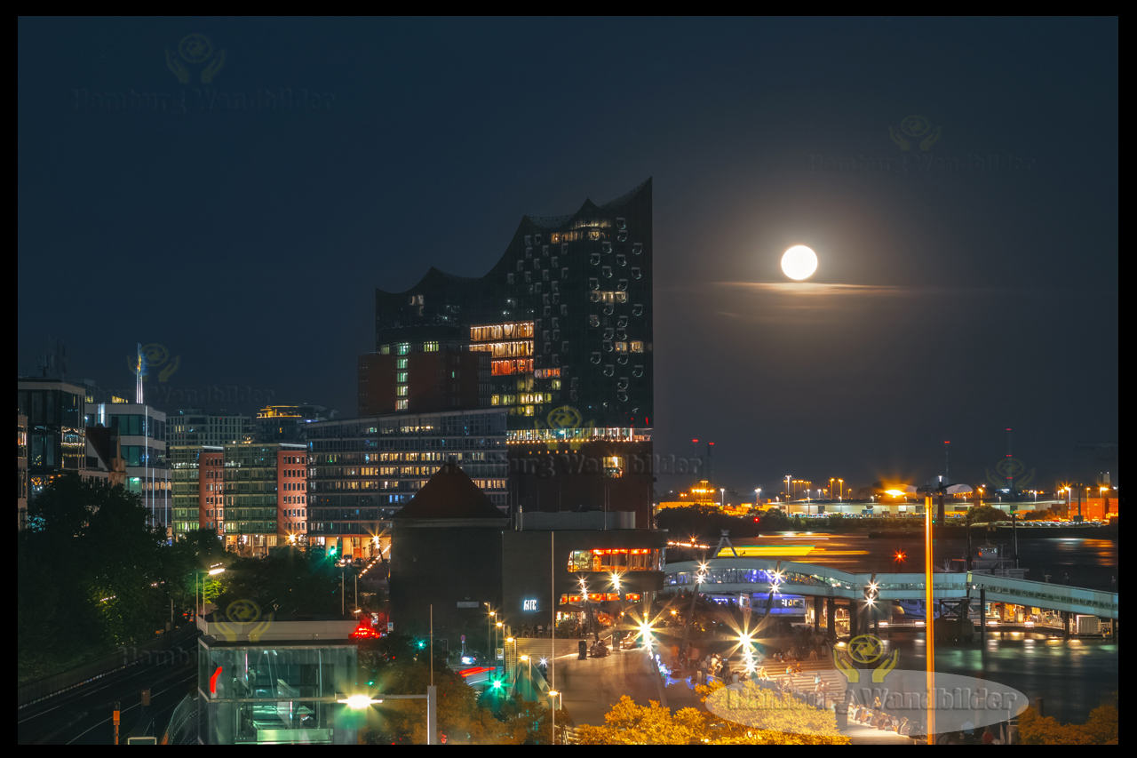 Elbphilharmonie   /  2267