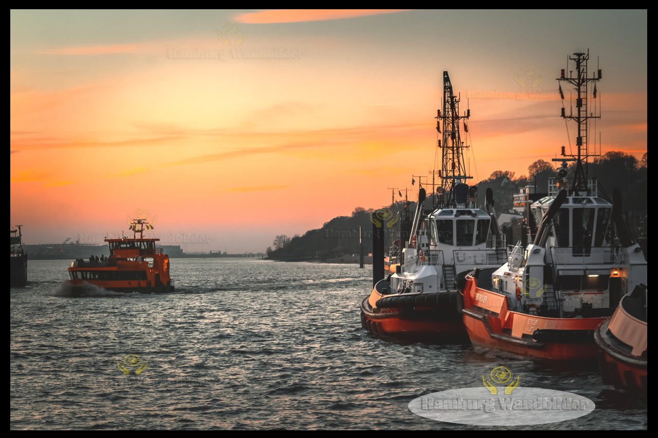 Schlepper  /  2588