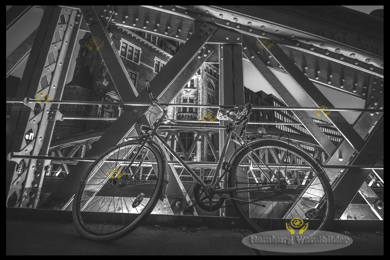 Fahrrad  SW  /  1660